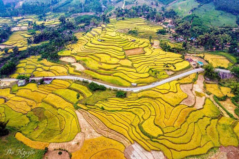 ANH SON KY